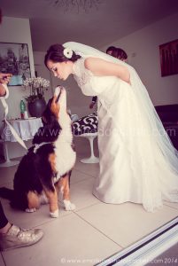 WEDDING-DOG-SITTER-VENEZIA-VENETO-PADOVA-